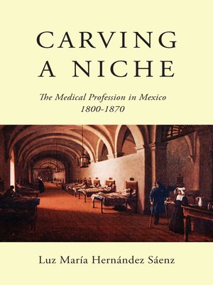 cover image of Carving a Niche